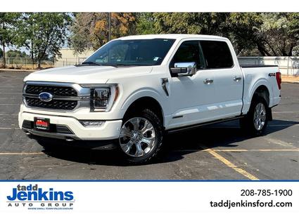 2021 Ford F-150 Blackfoot ID