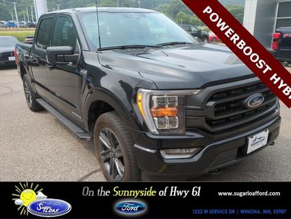 2023 Ford F-150 Winona MN