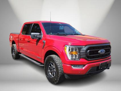 2022 Ford F-150 Glenwood Springs CO