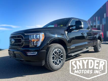 2023 Ford F-150 Bozeman MT