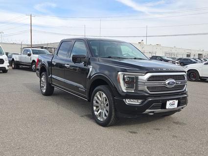 2021 Ford F-150 El Paso TX
