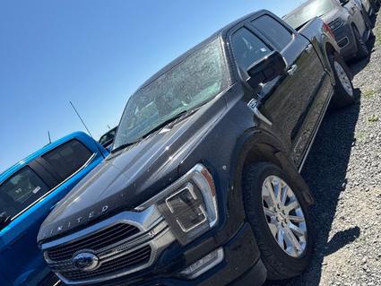 2022 Ford F-150 Post Falls ID