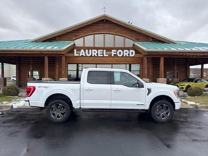 2023 Ford F-150 Laurel MT