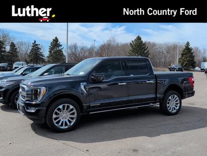2022 Ford F-150 Minneapolis MN