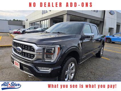 2021 Ford F-150 Palestine TX