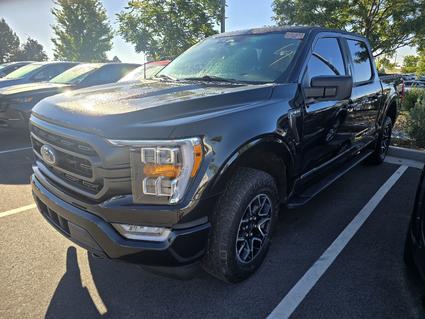 2023 Ford F-150 Loveland CO