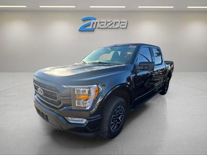2023 Ford F-150 Loveland CO