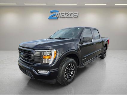 2023 Ford F-150 Loveland CO