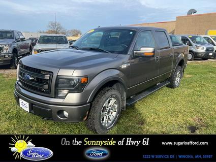 2013 Ford F-150 Winona MN