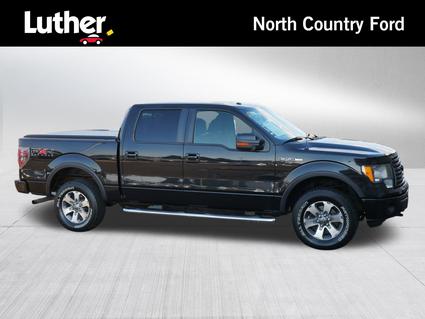 2011 Ford F-150 Minneapolis MN