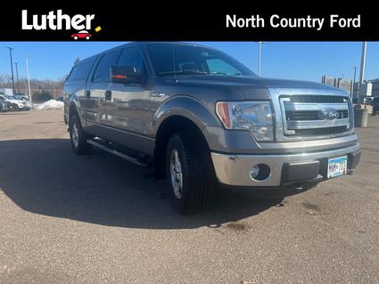 2013 Ford F-150 Minneapolis MN