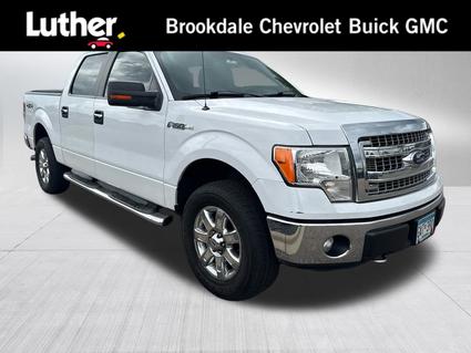 2014 Ford F-150 Minneapolis MN