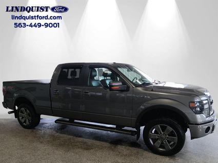 2014 Ford F-150 Bettendorf IA