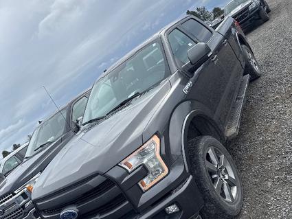 2017 Ford F-150 Post Falls ID