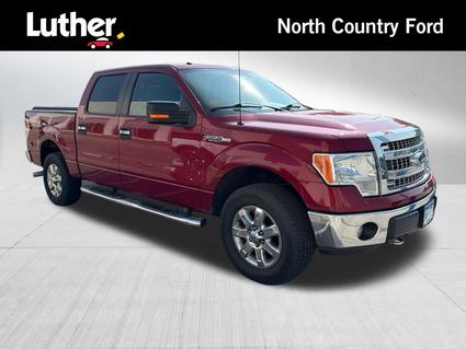 2013 Ford F-150 Minneapolis MN