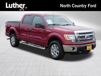 2013 Ford F-150 Minneapolis MN