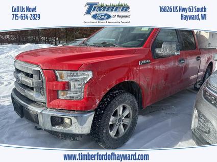 2015 Ford F-150 Hayward WI