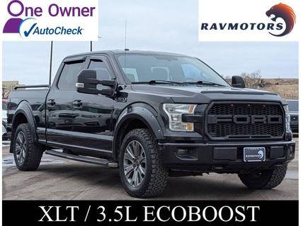 2015 Ford F-150 Burnsville MN