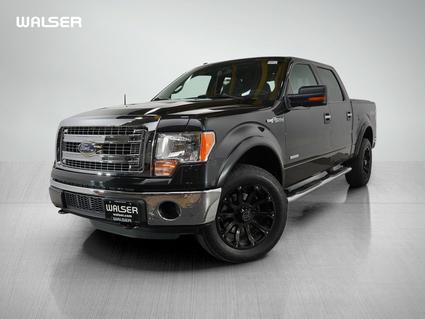 2013 Ford F-150 Hopkins MN