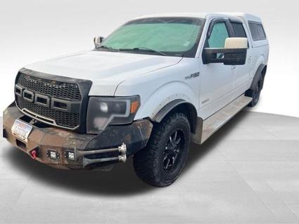 2014 Ford F-150 Kalispell MT