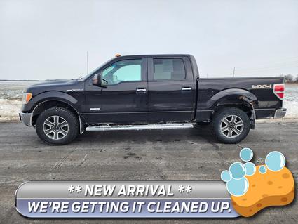2013 Ford F-150 Watseka IL