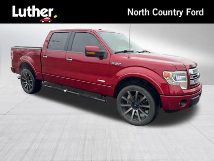 2013 Ford F-150 Minneapolis MN