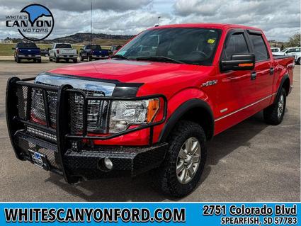 2014 Ford F-150 Spearfish SD