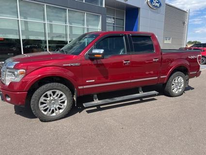 2013 Ford F-150 Canon City CO