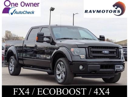 2013 Ford F-150 Burnsville MN