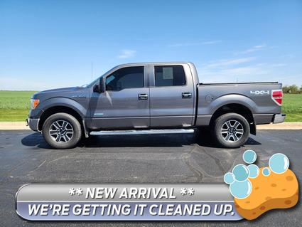 2013 Ford F-150 Watseka IL