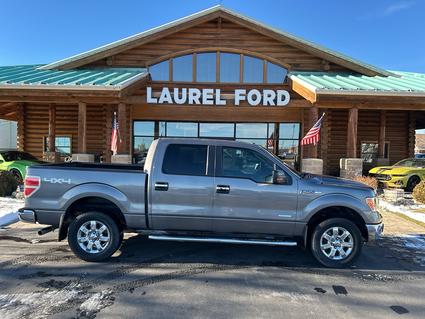 2014 Ford F-150 Laurel MT