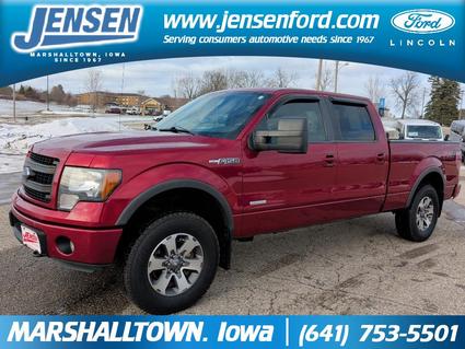 2014 Ford F-150 Marshalltown IA