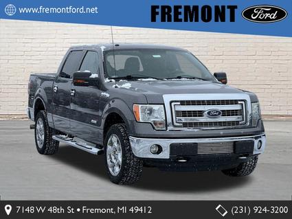 2014 Ford F-150 Fremont MI