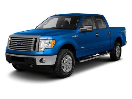 2010 Ford F-150 Hayesville NC