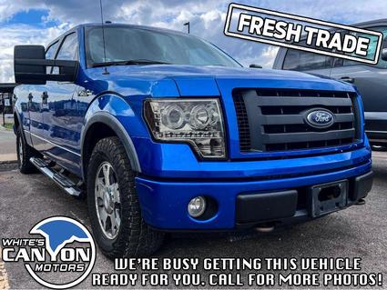 2010 Ford F-150 Spearfish SD