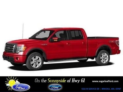 2010 Ford F-150 Winona MN