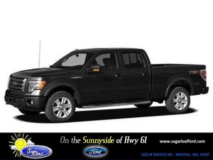 2010 Ford F-150 Winona MN