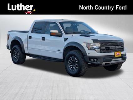 2014 Ford F-150 Minneapolis MN
