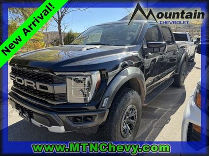 2022 Ford F-150 Glenwood Springs CO