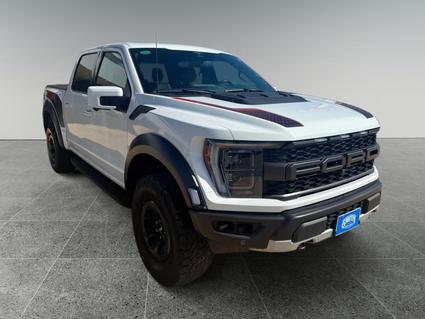 2023 Ford F-150 Levelland TX