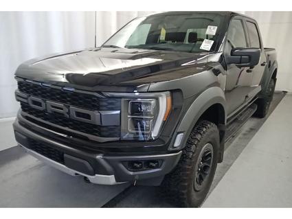 2023 Ford F-150 Post Falls ID