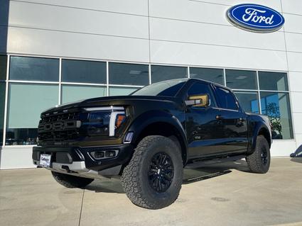 2025 Ford F-150 Elko NV