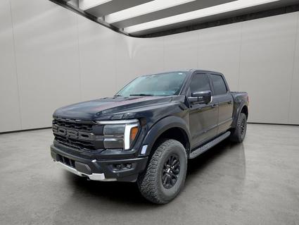 2025 Ford F-150 Loveland CO