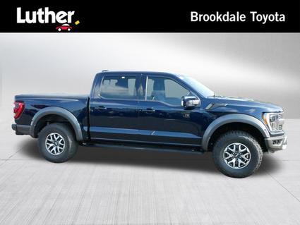 2023 Ford F-150 Minneapolis MN