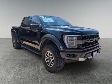 2023 Ford F-150 Levelland TX