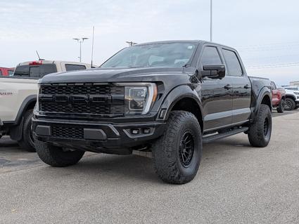 2023 Ford F-150 Sedalia MO