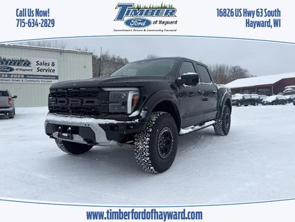 2025 Ford F-150 Hayward WI