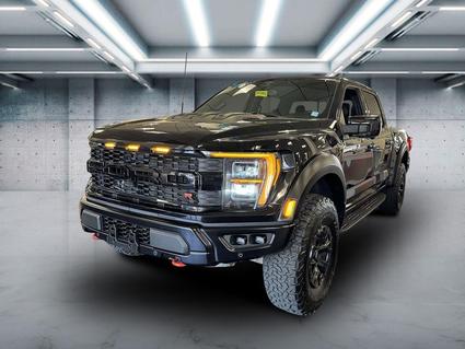 2023 Ford F-150 Patchogue NY