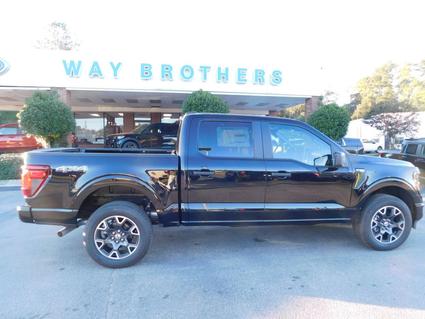 2025 Ford F-150 Hawkinsville GA