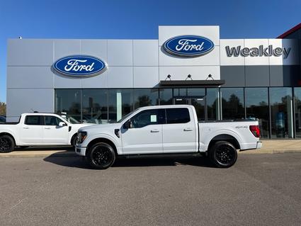 2025 Ford F-150 Martin TN